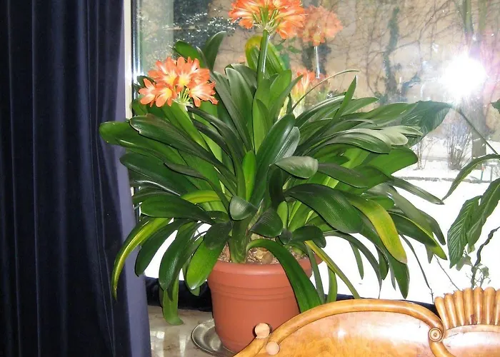 Hotell Literaturhotel Berlin