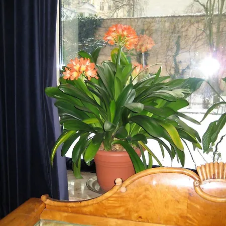 Hotel Literaturhotel Berlin